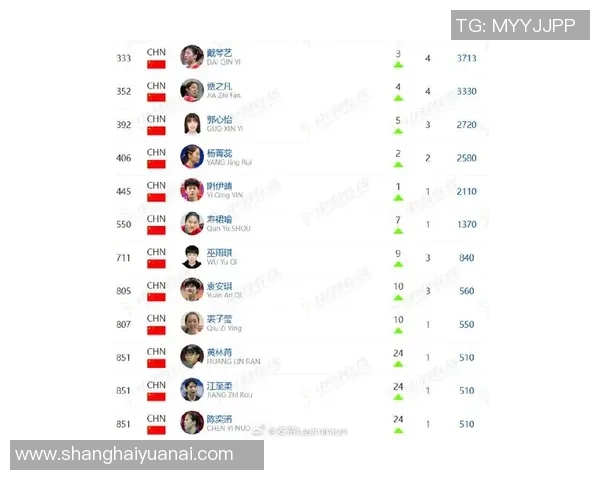 武汉羽毛球队在全国羽毛球比赛经验排行榜中荣登第七名的辉煌成就