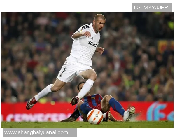 法国足球明星汇总及其辉煌成就与影响力分析