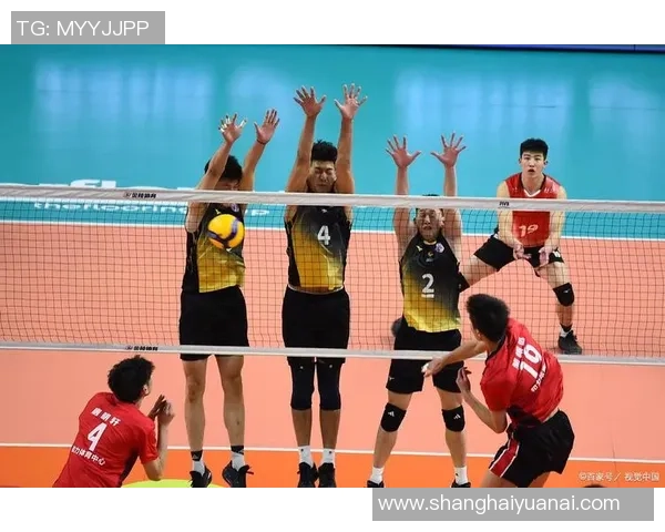 排球专题：聚焦深圳排球队的团队协作
